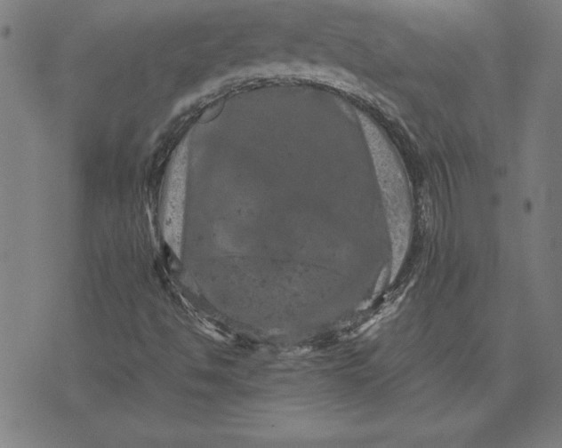 X0000072551494200607281635