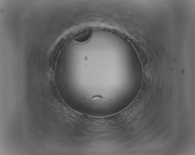 X0000072551495200607281635