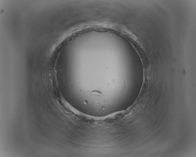 X0000072551496200607281635