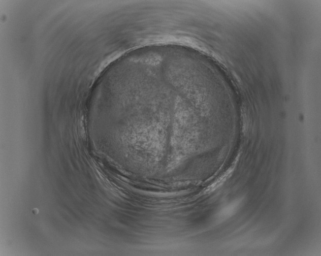 X0000072551497200607281635