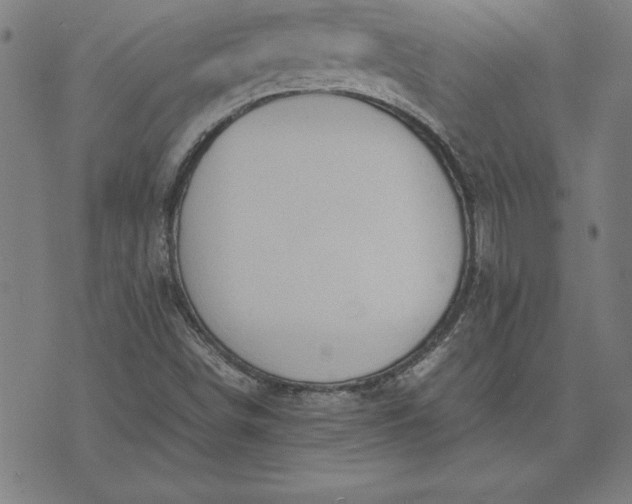 X0000072551498200607281635