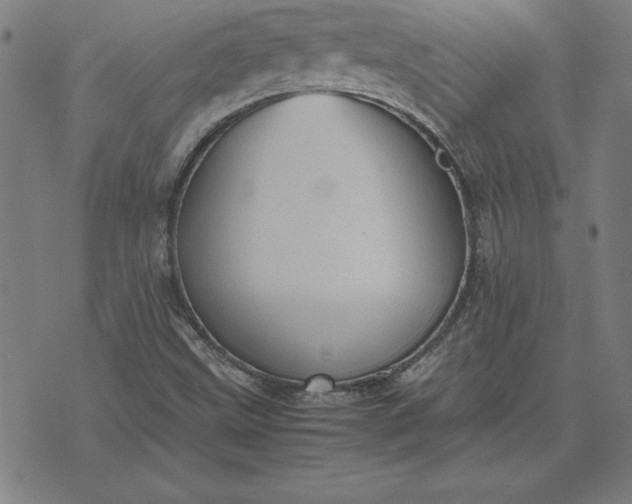 X0000072551499200607281635