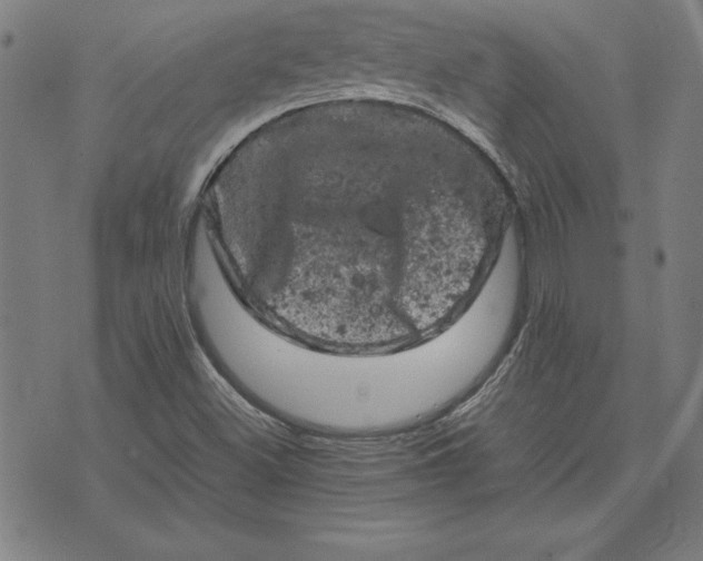 X0000072551500200607281635