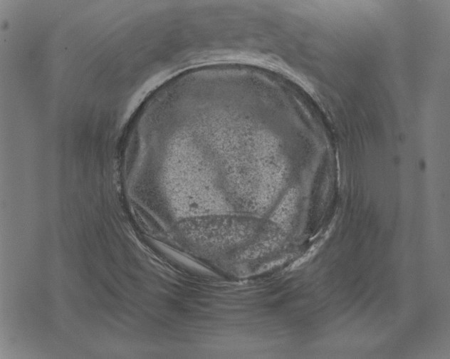 X0000072551501200607281635