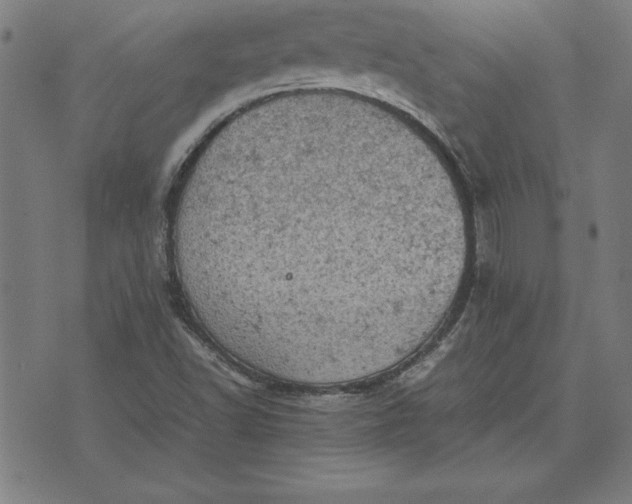 X0000072551502200607281636