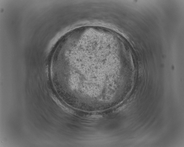 X0000072551503200607281636