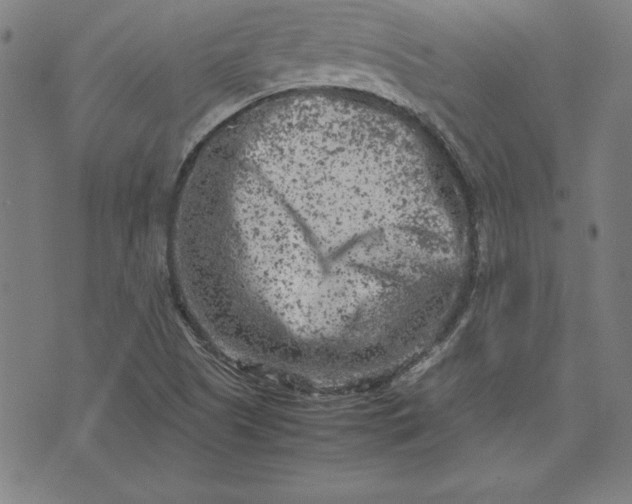 X0000072551505200607281636