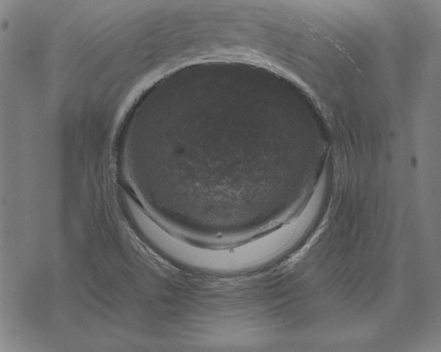 X0000072551506200607281636