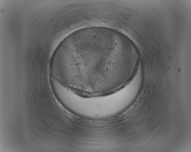 X0000072551508200607281636