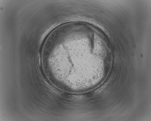 X0000072551509200607281636