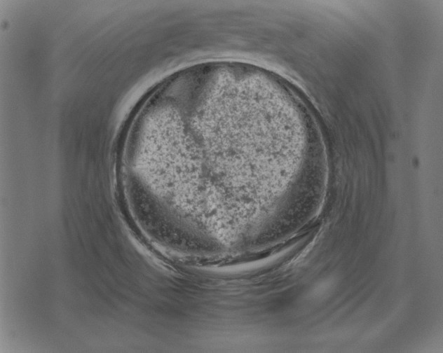 X0000072551511200607281636