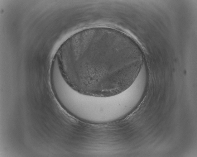 X0000072551512200607281636