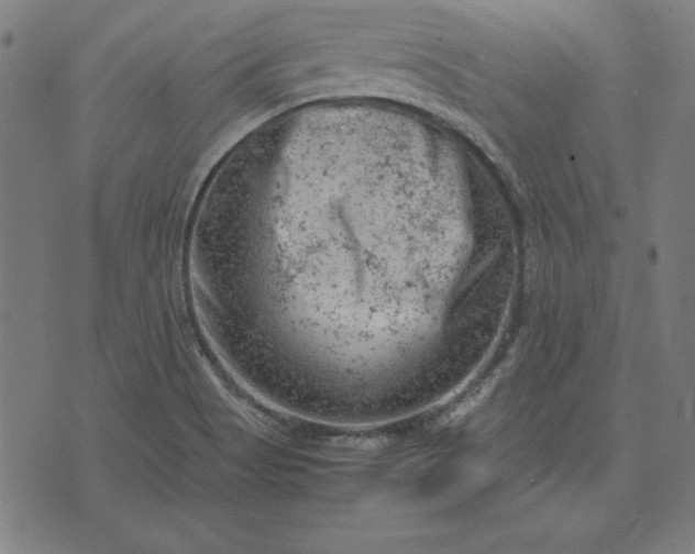 X0000072551513200607281636