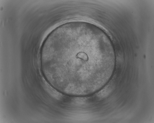 X0000072551514200607281636