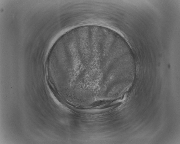 X0000072551515200607281636