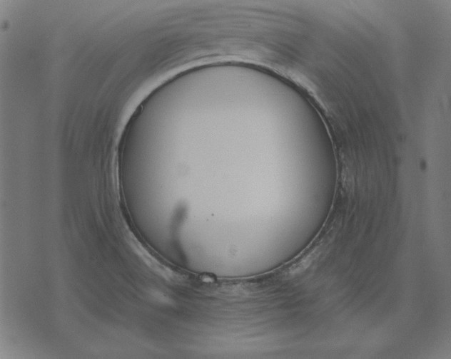 X0000072551516200607281636