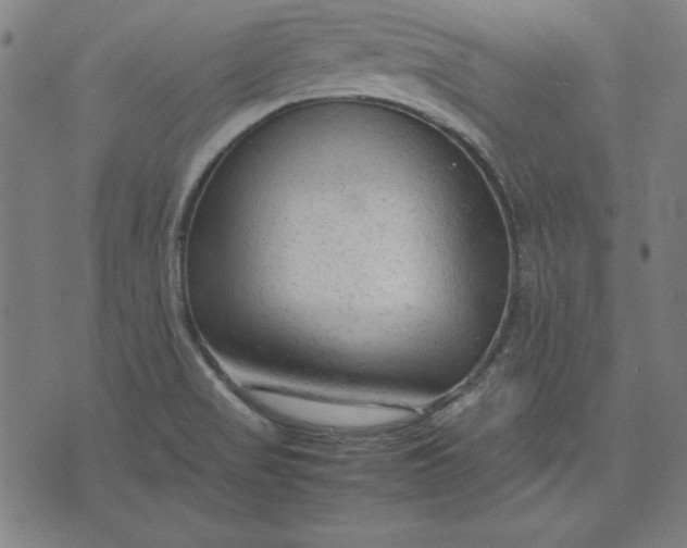 X0000072551517200607281636