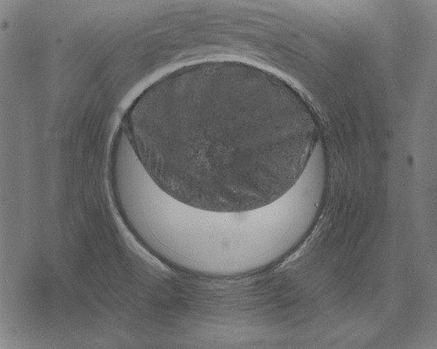 X0000072551518200607281636