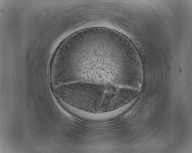 X0000072551519200607281636