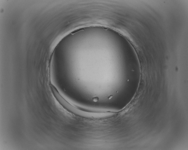 X0000072551524200607281636