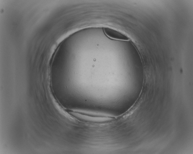 X0000072551526200607281636