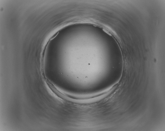 X0000072551528200607281636