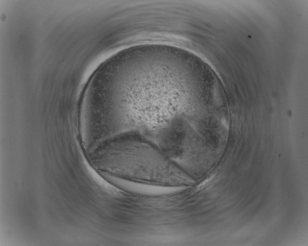 X0000072551531200607281636