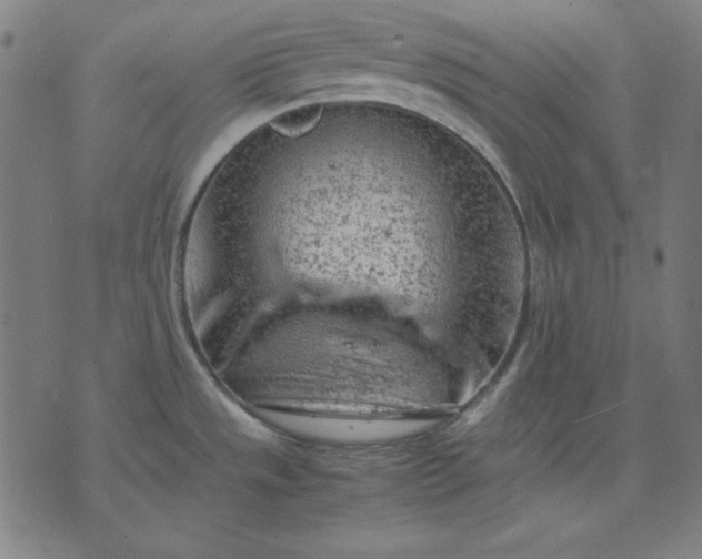 X0000072551533200607281636