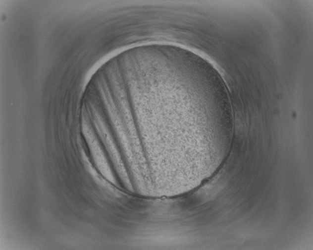 X0000072551534200607281636