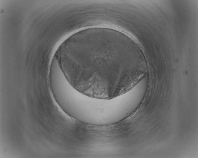 X0000072551536200607281636