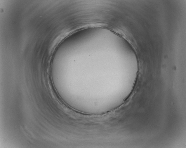 X0000072550001200608041659