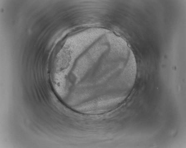 X0000072550002200608041659