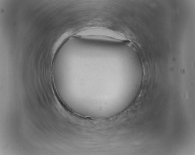 X0000072550003200608041659