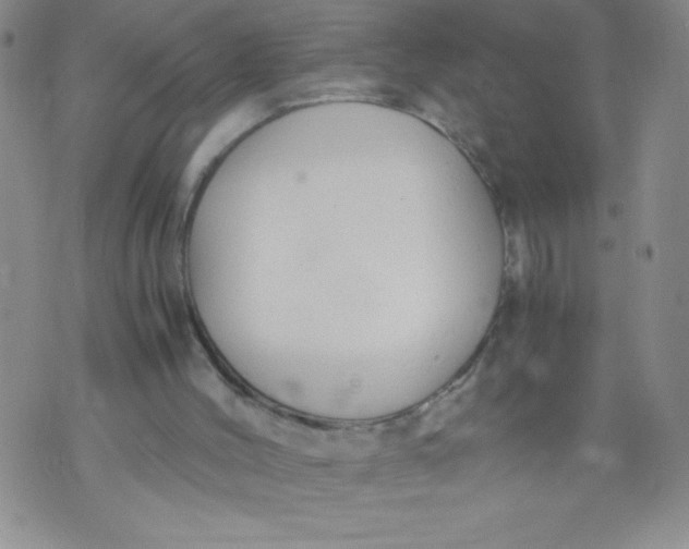 X0000072550004200608041659