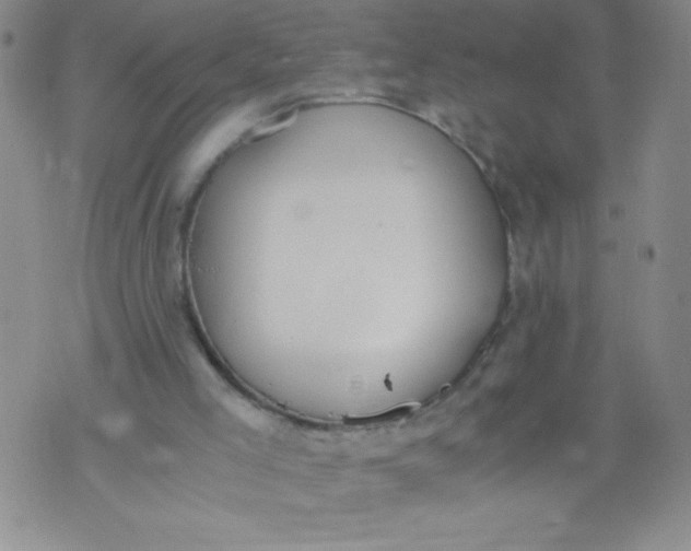 X0000072550005200608041659