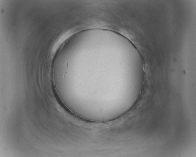 X0000072550007200608041659