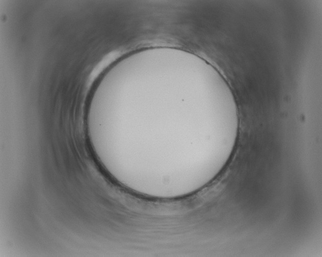 X0000072550008200608041659