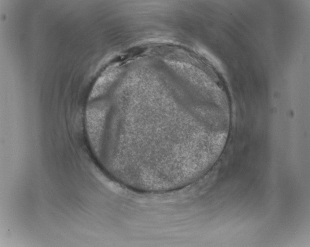 X0000072550009200608041659