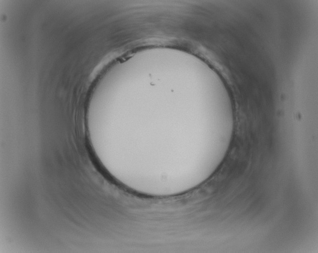 X0000072550011200608041659