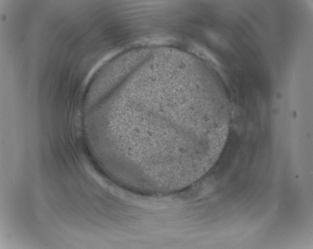 X0000072550012200608041659