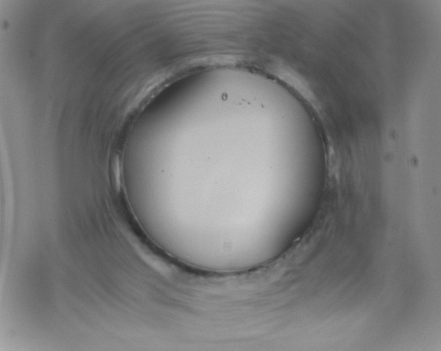 X0000072550013200608041659