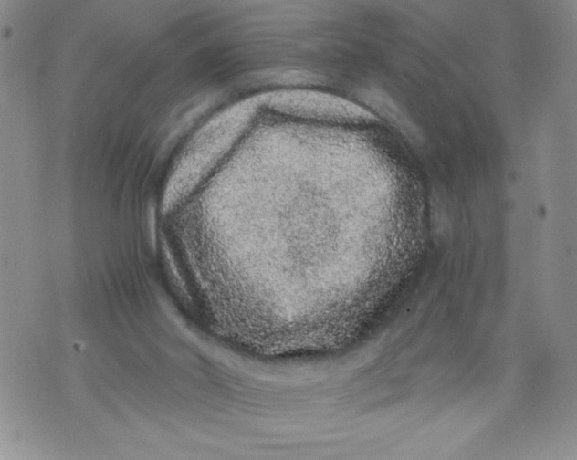 X0000072550014200608041659