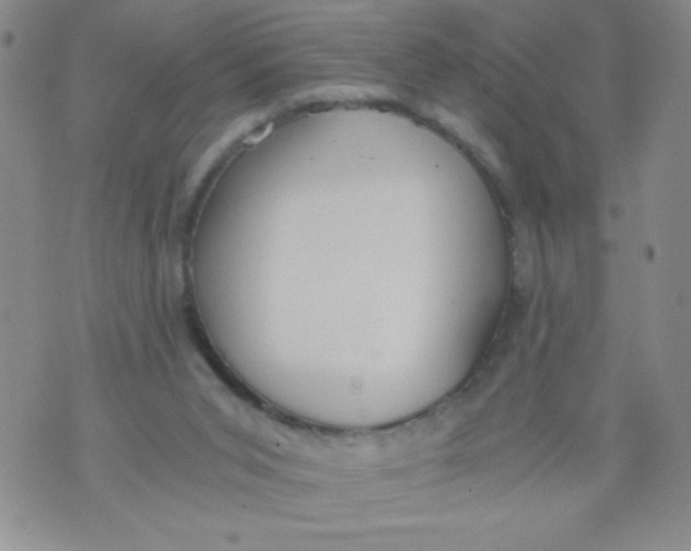 X0000072550015200608041659