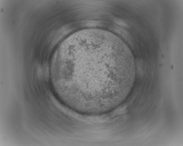 X0000072550016200608041659