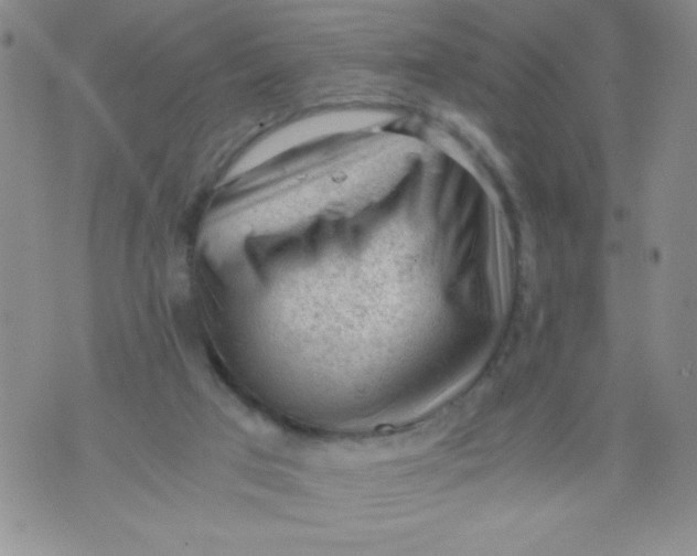 X0000072550017200608041659