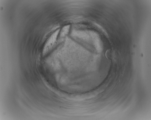 X0000072550018200608041659