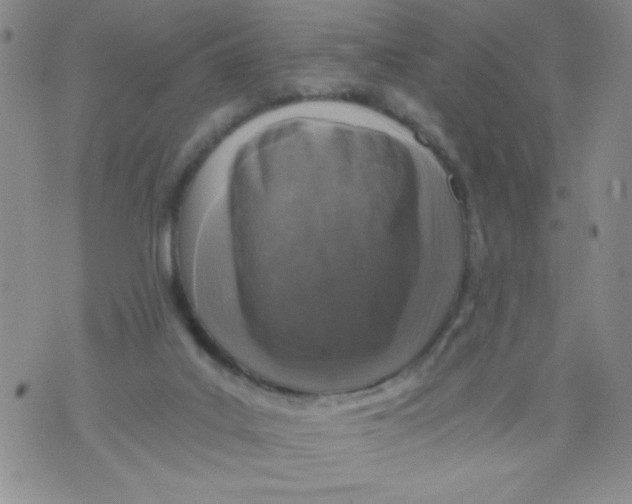 X0000072550019200608041659