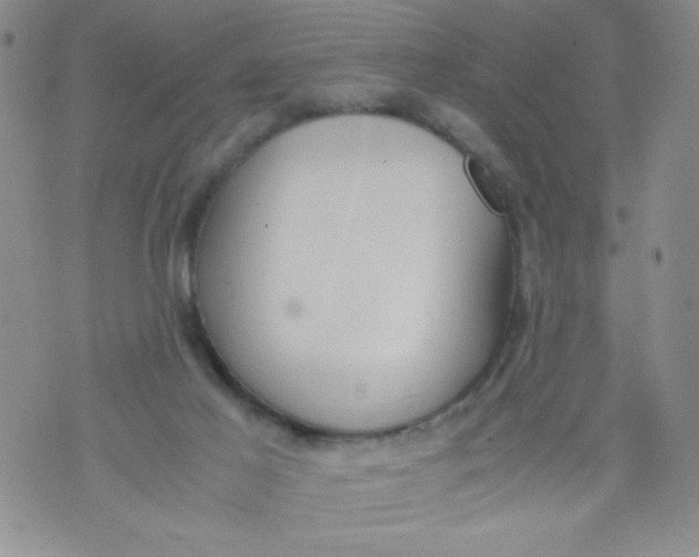 X0000072550021200608041659