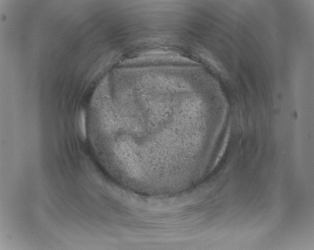 X0000072550022200608041659