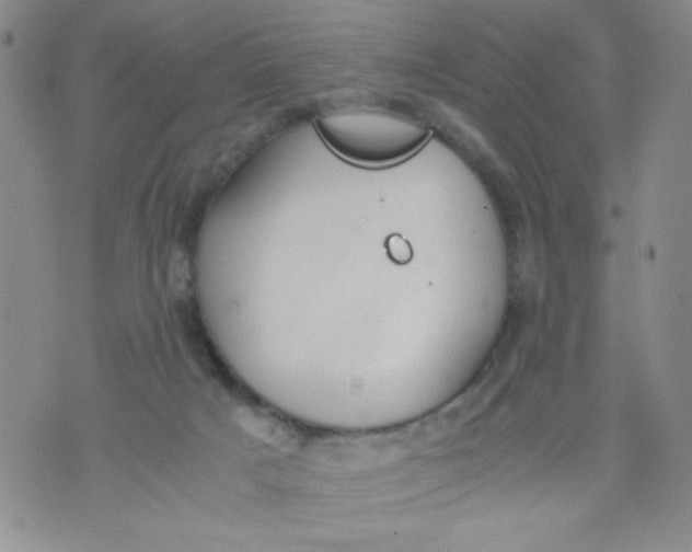 X0000072550025200608041659